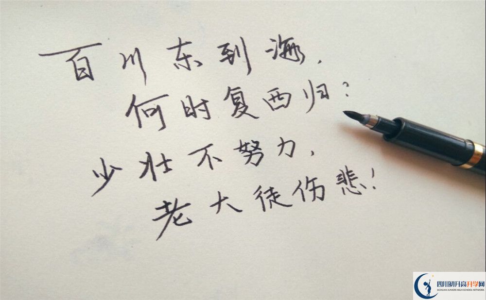 2026年眉山市龍正中學招生計劃是多少？