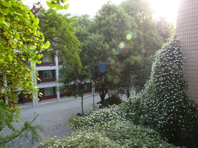 石室聯(lián)合中學(xué)蜀華分校怎么樣？