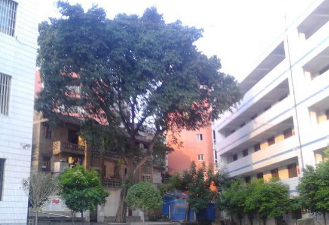 資中縣太平中學(xué)地理位置在哪里？