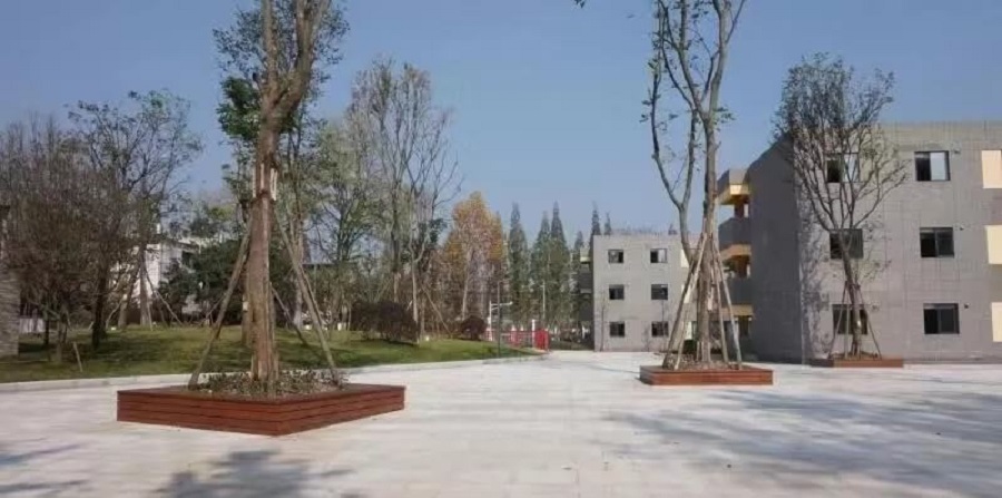 成都綿實外國語學(xué)校2019年招生公告公布了嗎？