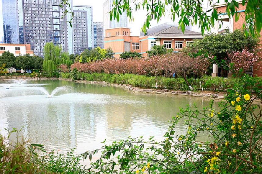 成都美視國(guó)際學(xué)校網(wǎng)址是什么？