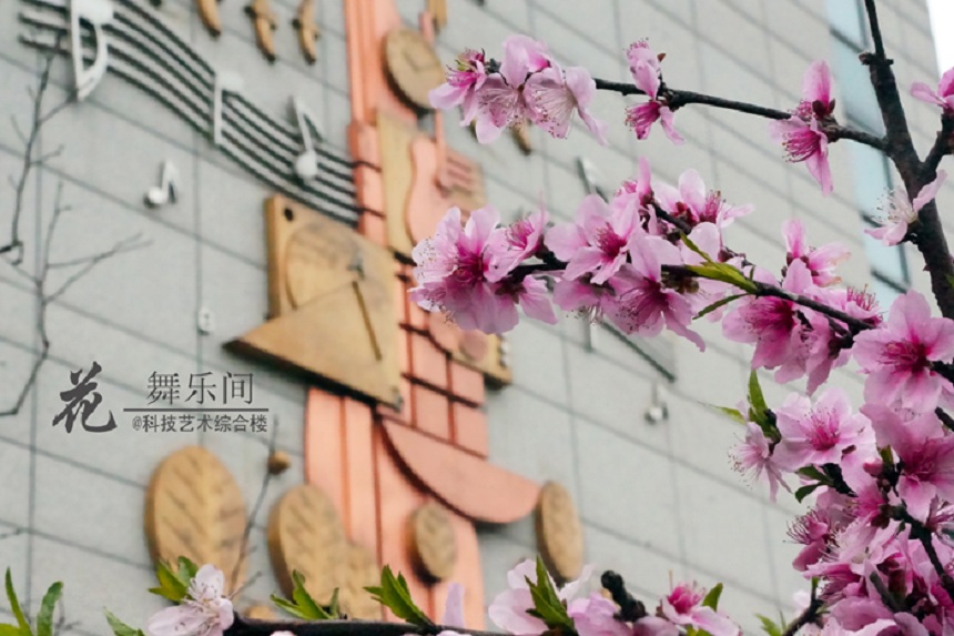 石室天府中學(xué)環(huán)境好不好、怎么樣？