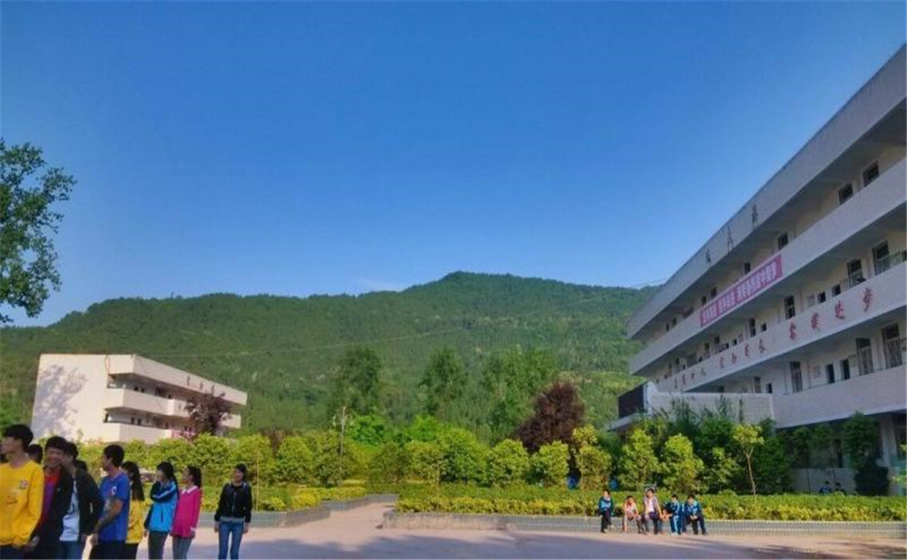 金山中學2020年學校招生計劃在哪兒看？