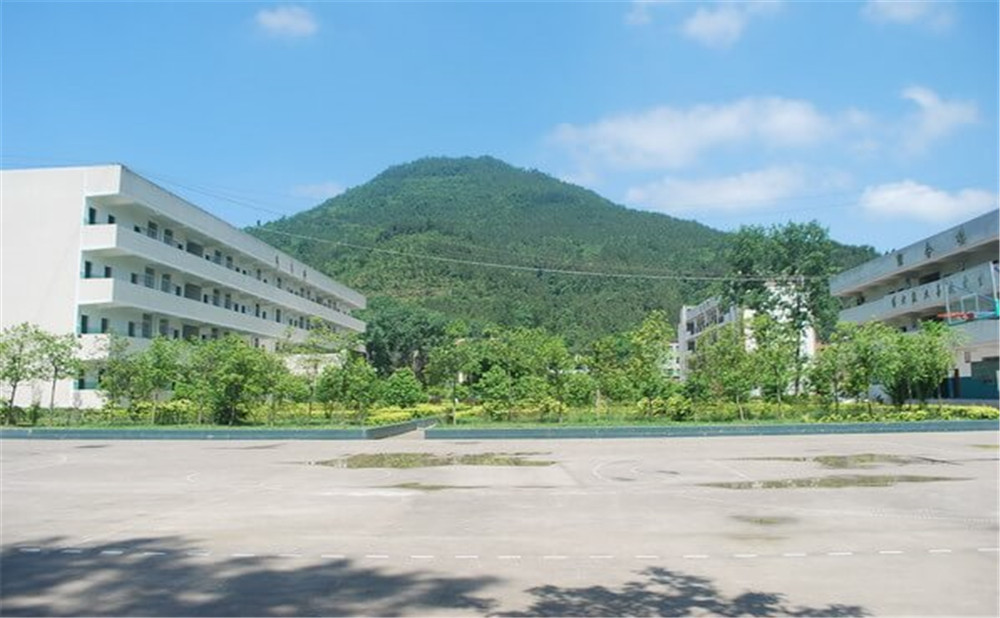 金山中學(xué)學(xué)校環(huán)境如何？