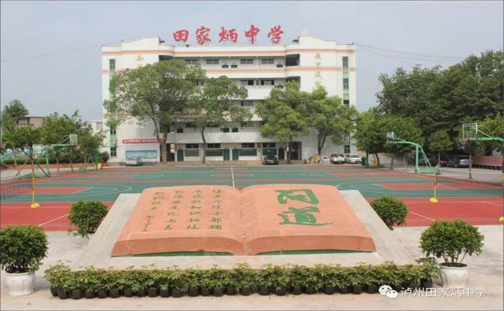 瀘洲市田家炳中學(xué)是公辦學(xué)校嗎？