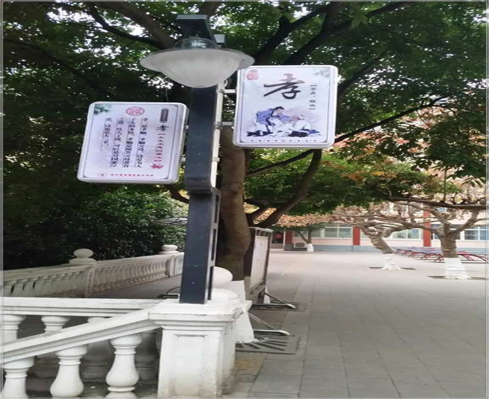蒼溪實(shí)驗(yàn)中學(xué)2020年的招生簡(jiǎn)章發(fā)布了嗎？