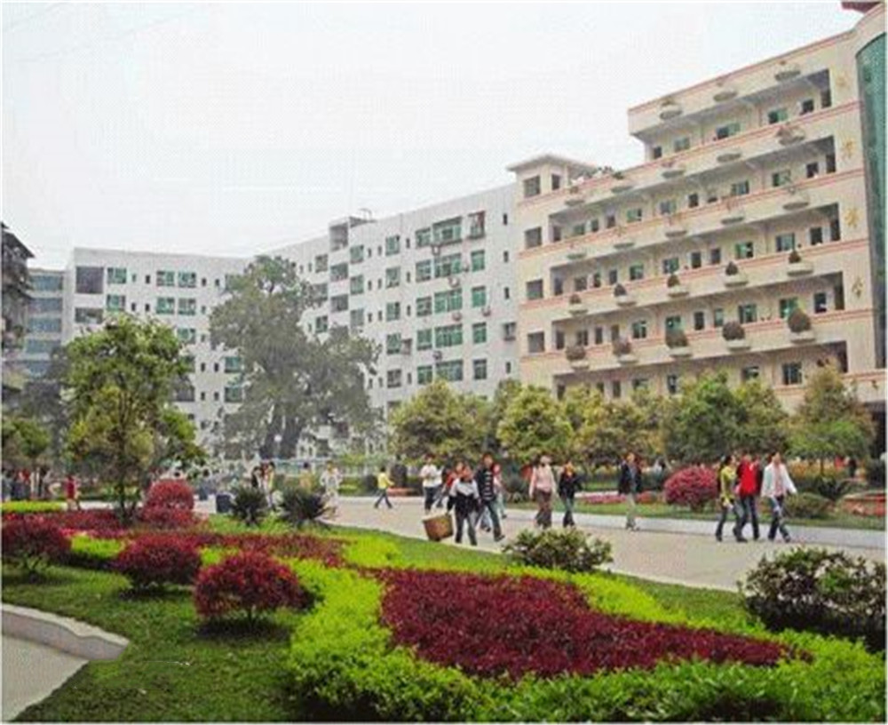 渠縣第二中學(xué)學(xué)校2020年的錄取分?jǐn)?shù)公布了嗎？