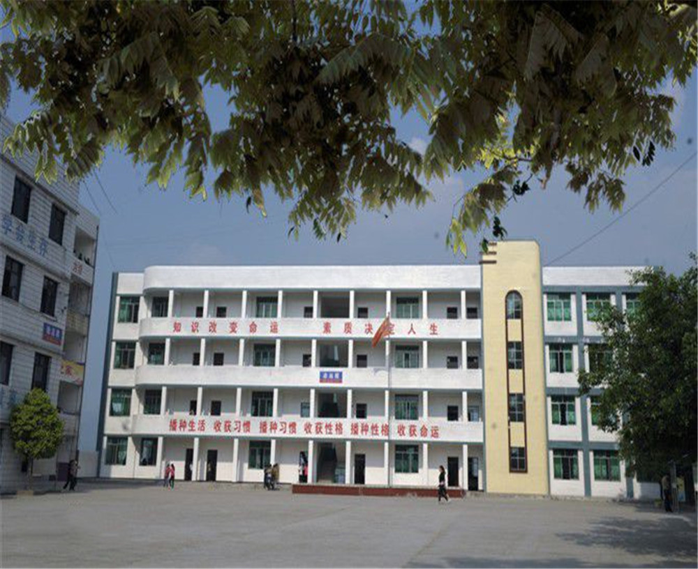 臨巴中學的詳細地址在什么地方？