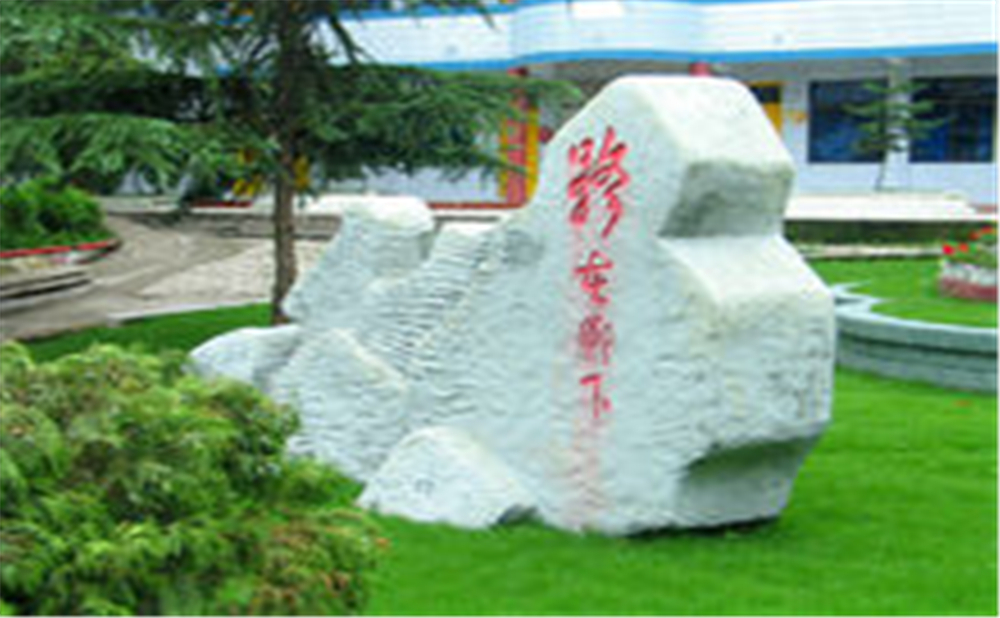 資中龍結(jié)中學(xué)2020年招生簡章在哪兒看？
