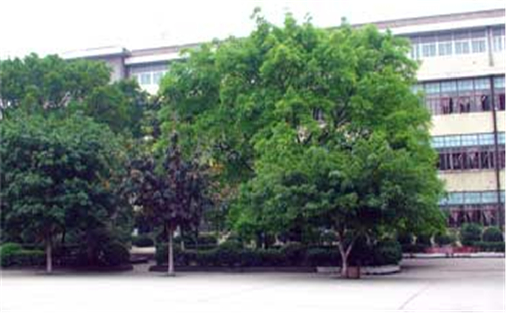 威遠縣自強中學學校環(huán)境怎么樣？