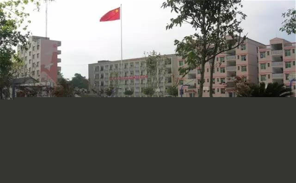 內(nèi)江市第十一中學(xué)學(xué)校環(huán)境怎么樣？