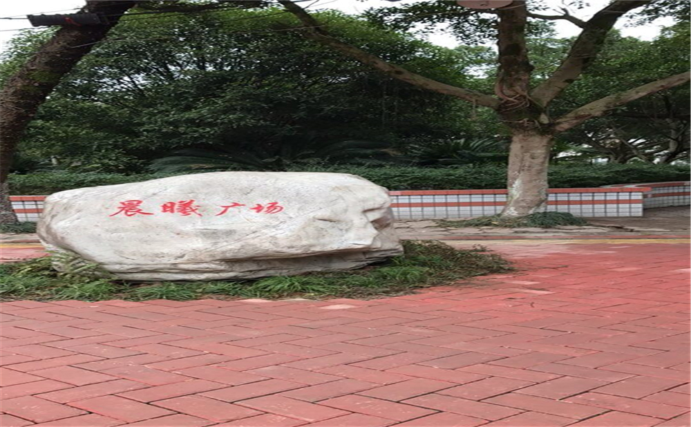 內(nèi)江十二中2020年中考錄取分數(shù)線多少分？