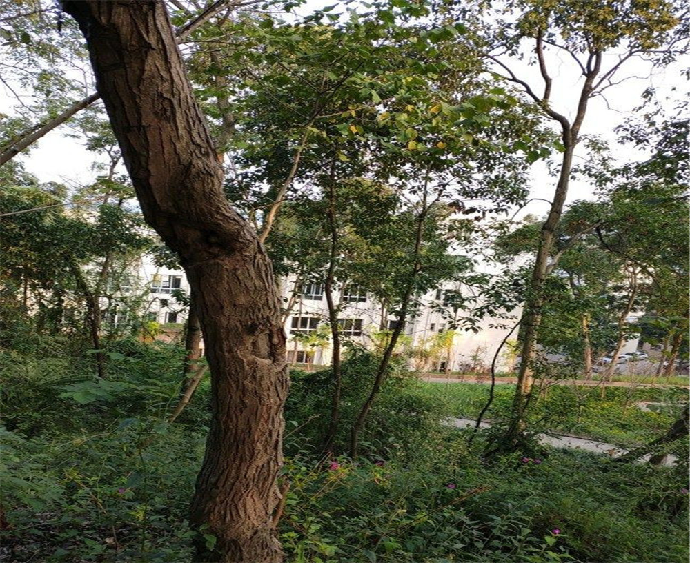 蒲家中學(xué)的詳細地址在什么地方？