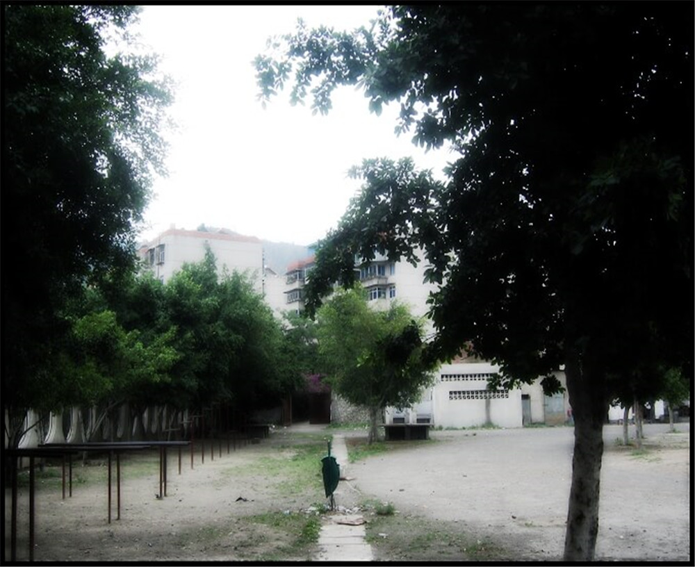 攀枝花市延邊縣中學(xué)校招辦電話是多少？