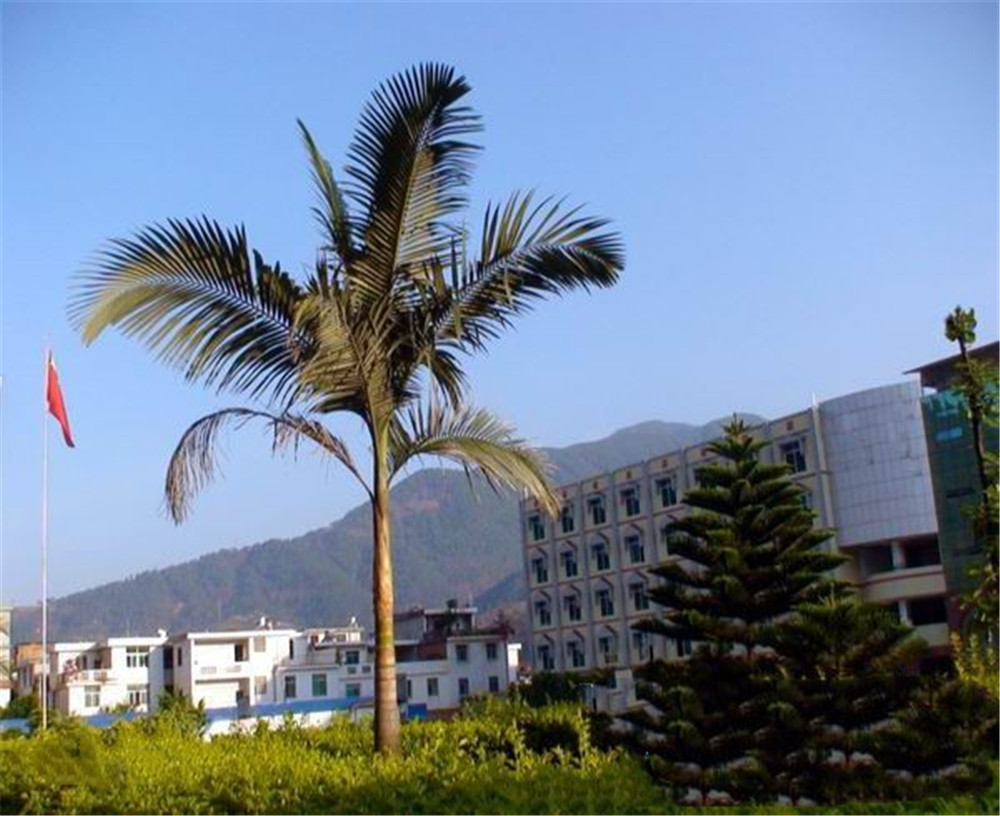 四川省鹽邊縣漁門中學(xué)2020年學(xué)校學(xué)費(fèi)多少錢一年？