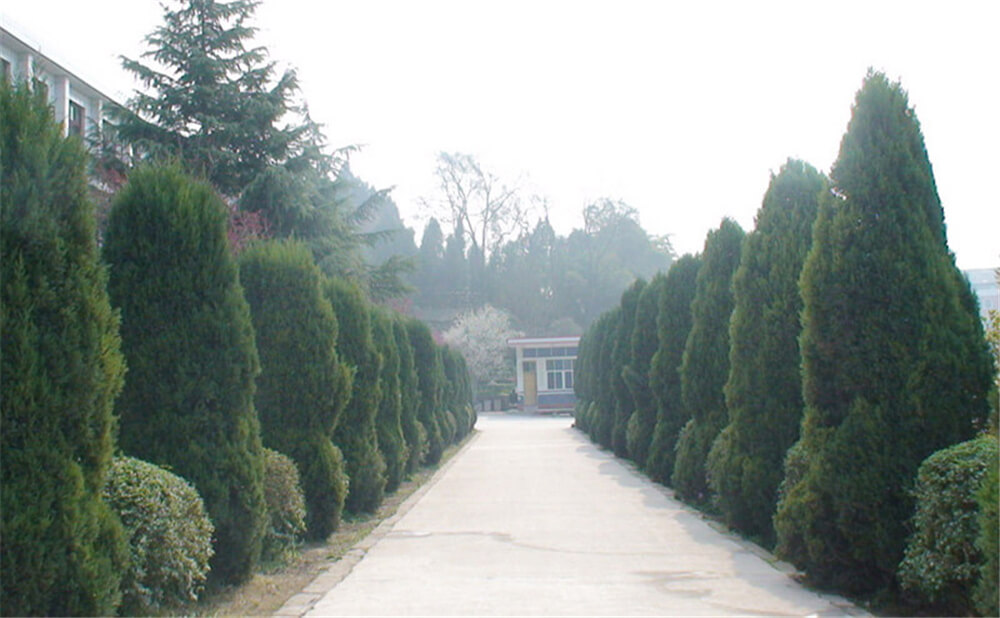 建興中學(xué)學(xué)校環(huán)境怎么樣？