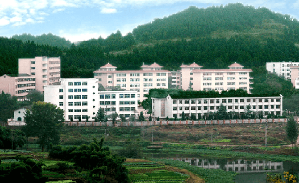 建興中學(xué)2020年學(xué)校學(xué)費多少錢一年？
