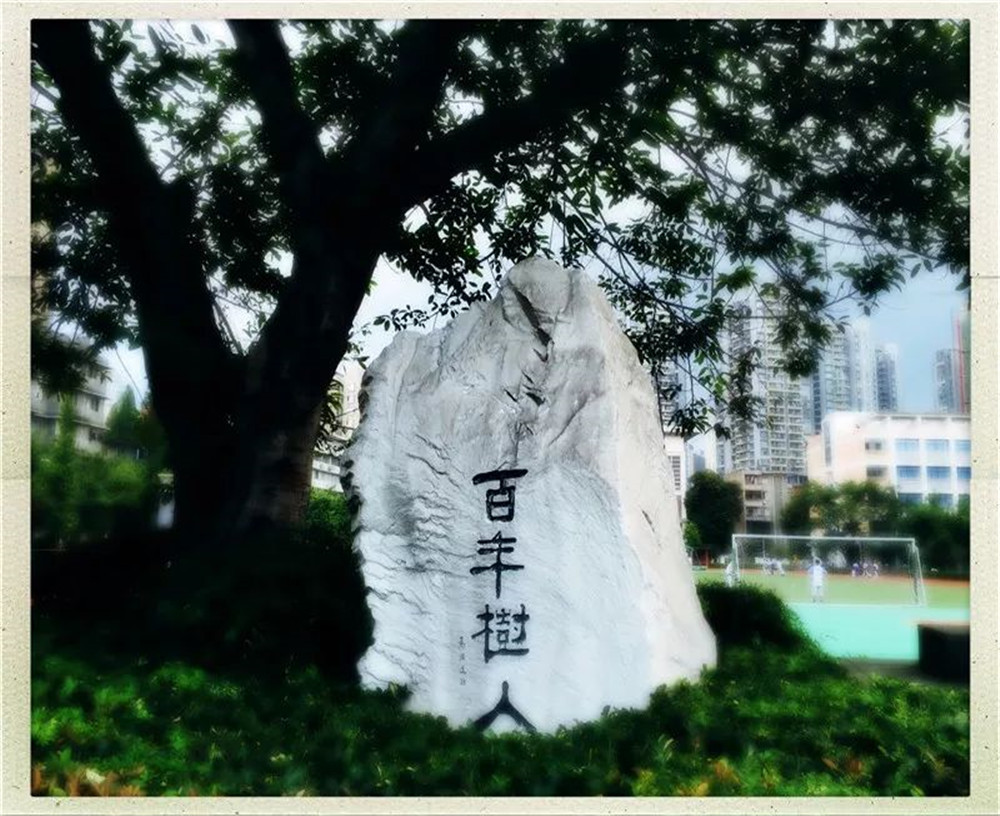 四川大學(xué)附屬中學(xué)2020年的錄取分?jǐn)?shù)線是多少？