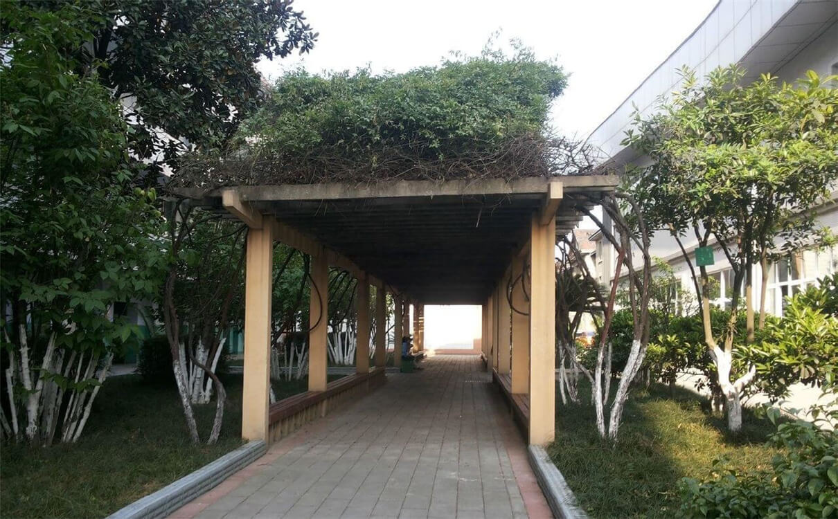 通錦中學(xué)的高中怎么樣？