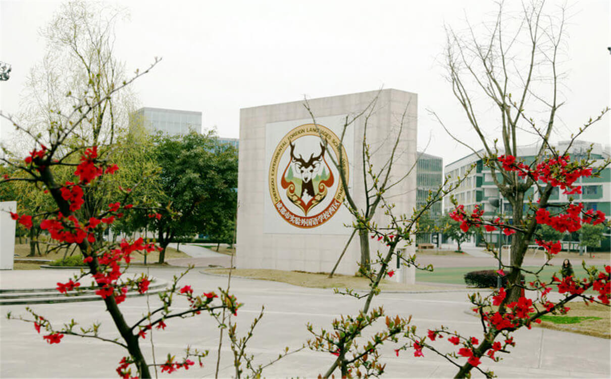 成都實(shí)驗(yàn)外國語學(xué)校（西區(qū)）育才的升學(xué)率是多少？