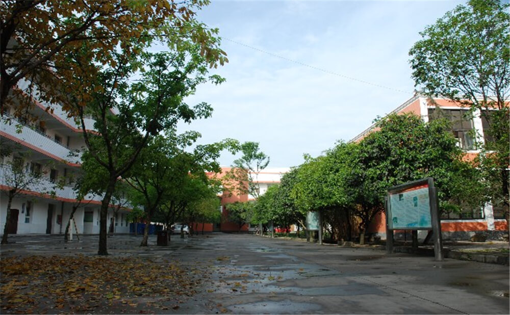 大邑中學(xué)育才的升學(xué)率是多少？