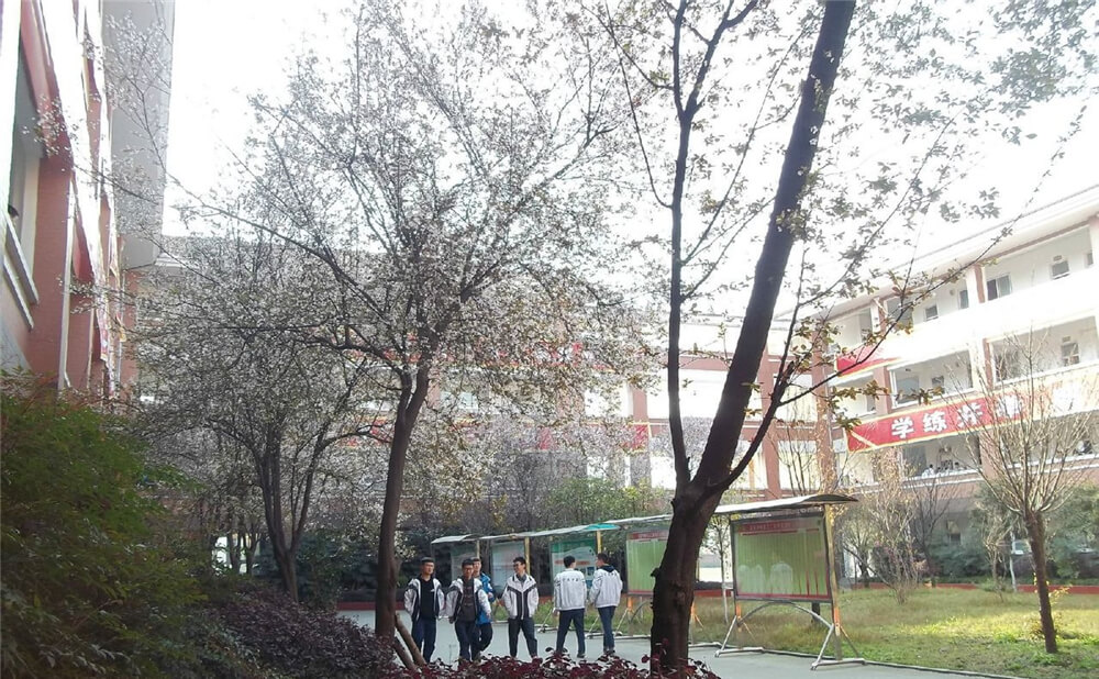 崇慶中學的去年錄取分數(shù)線是多少分？