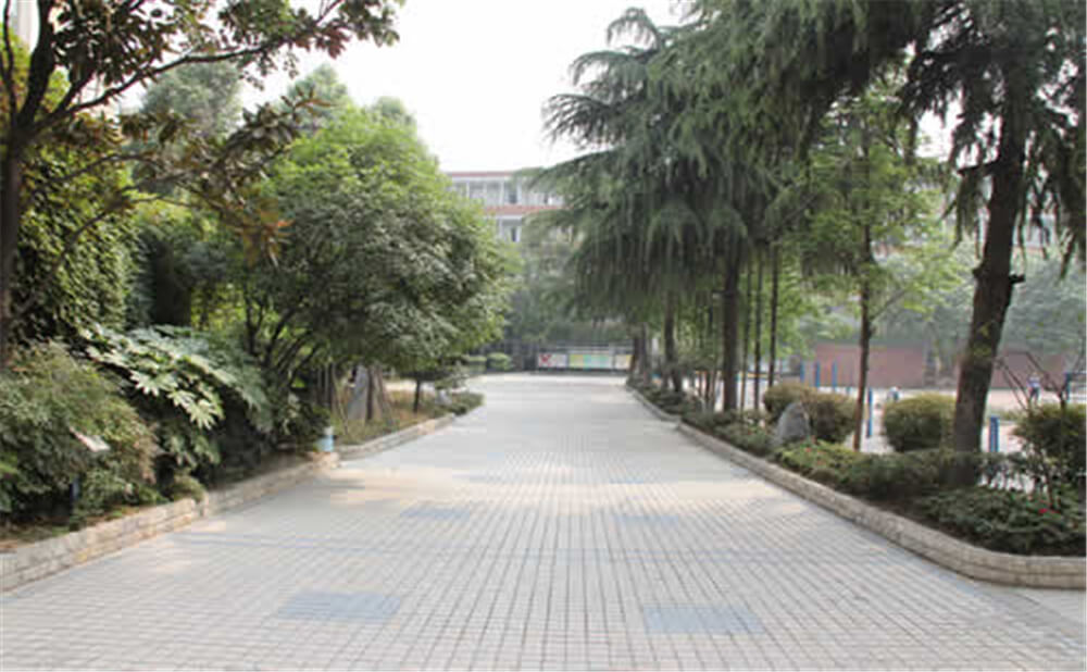 成都列五中學(xué)的學(xué)費是多少錢？
