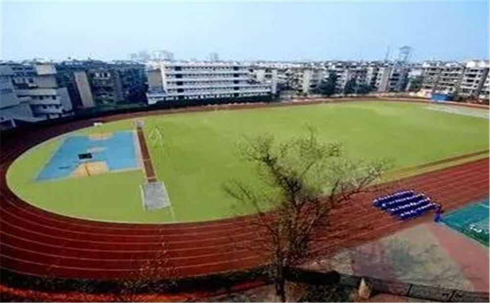 成都實外新都五龍山學校2020年招生標準在哪兒看？