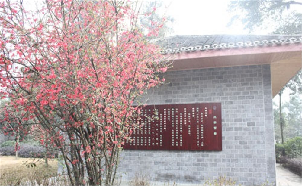 彭州中學(xué)2020年招生標(biāo)準(zhǔn)在哪兒看？
