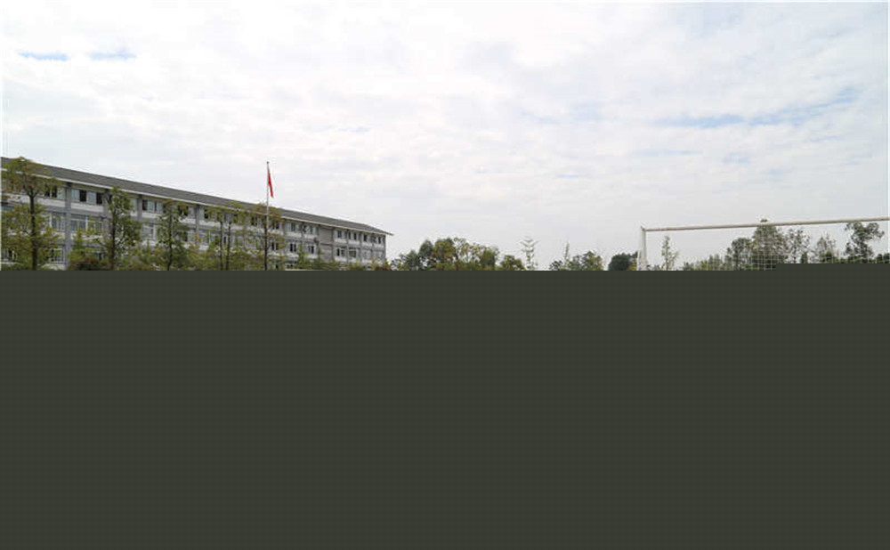 平樂(lè)中學(xué)的升學(xué)率是多少？