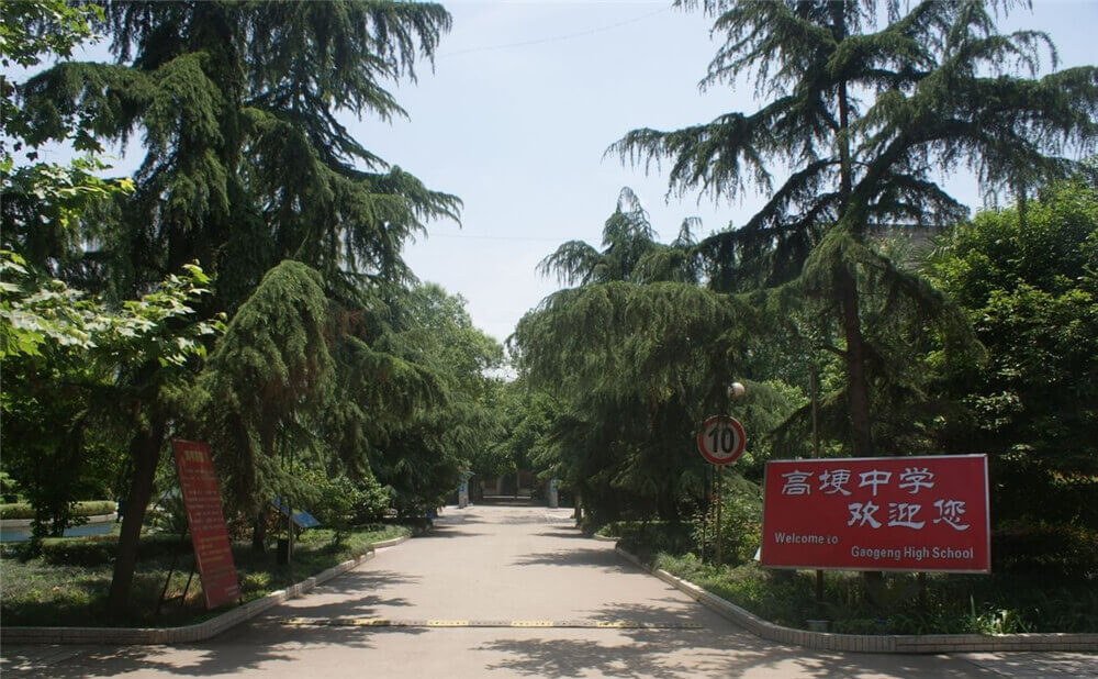 高埂中學(xué)的學(xué)費是多少錢？