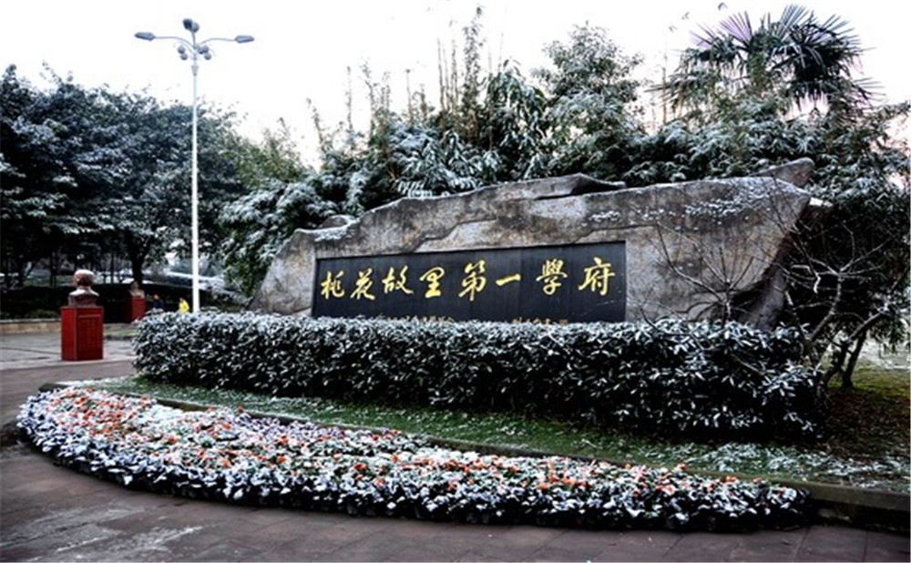 2020年成都市龍泉中學(xué)計(jì)劃招多少人？