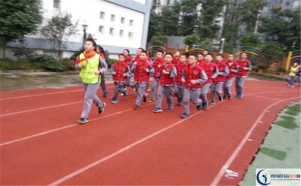 2020成都市泡桐樹(shù)中學(xué)的升學(xué)率有多少？