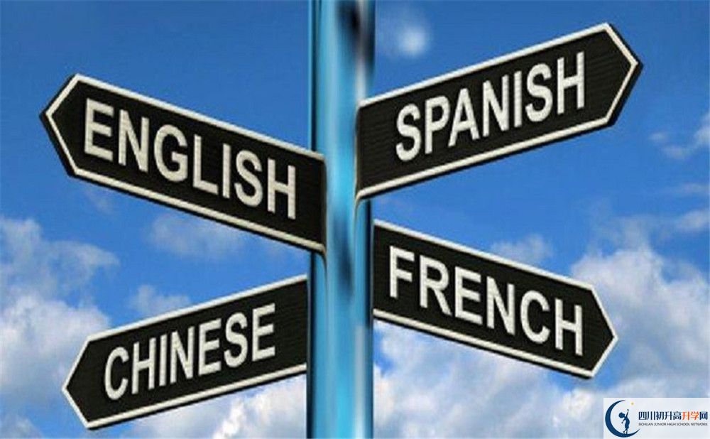 成都石室外國(guó)語(yǔ)學(xué)校的學(xué)費(fèi)收費(fèi)標(biāo)準(zhǔn)是多少？