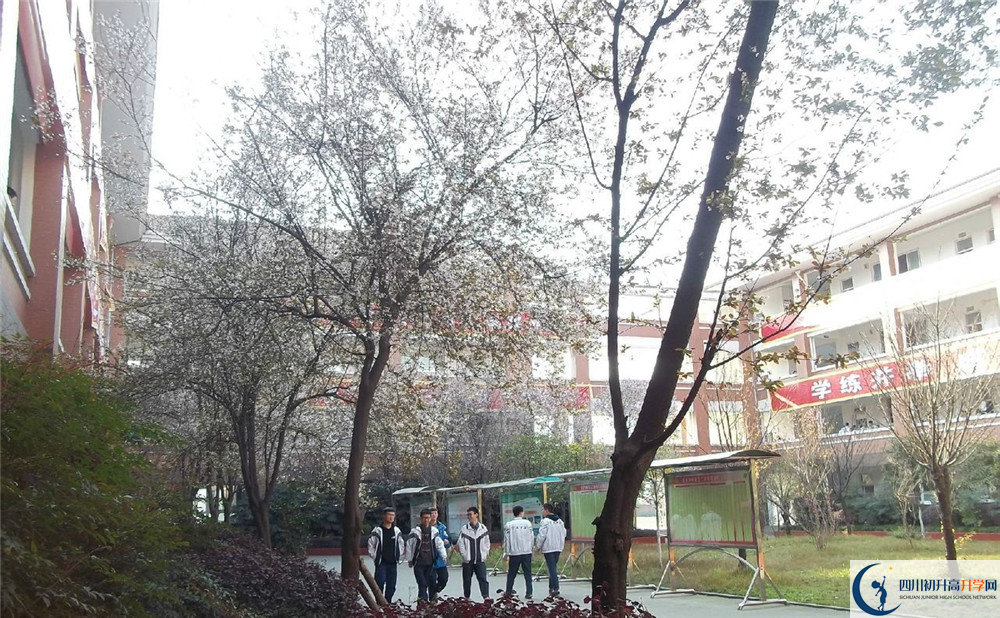 崇慶中學2020年的分數(shù)線是多少？