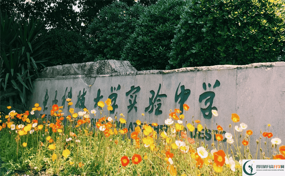 上電子科技大學(xué)實(shí)驗(yàn)中學(xué)的分?jǐn)?shù)線是多少分？