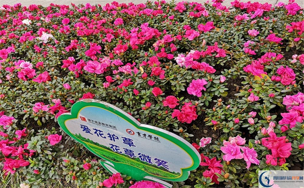 育才學(xué)校高中歷年來的分?jǐn)?shù)線是多少？