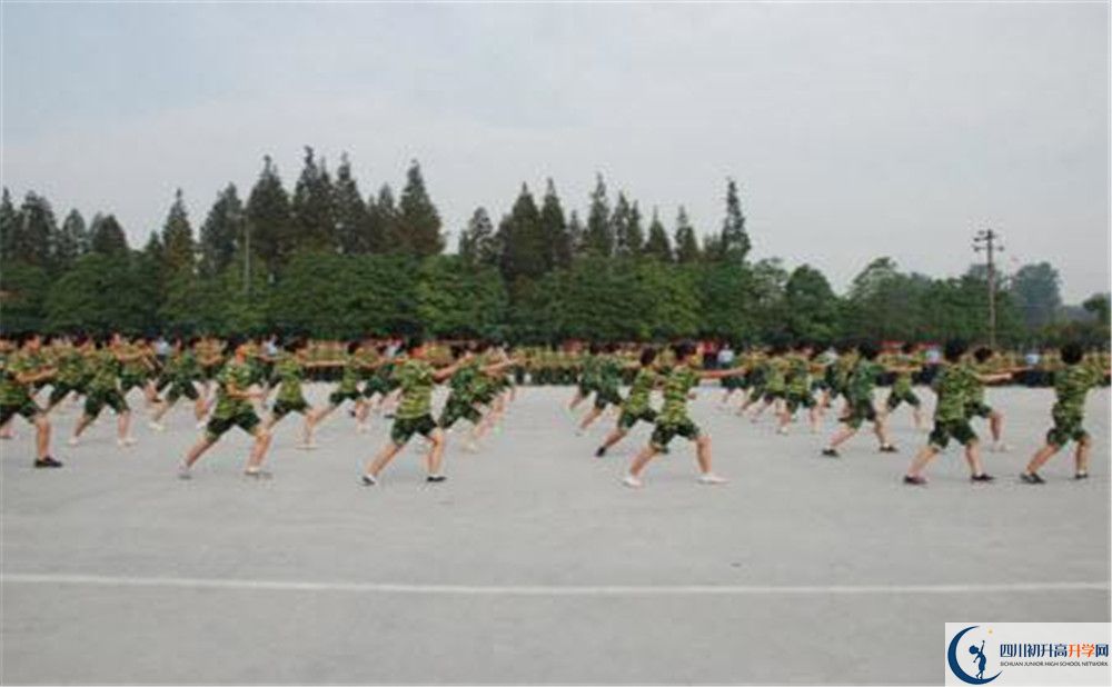 香城中學(xué)高一分班嗎？