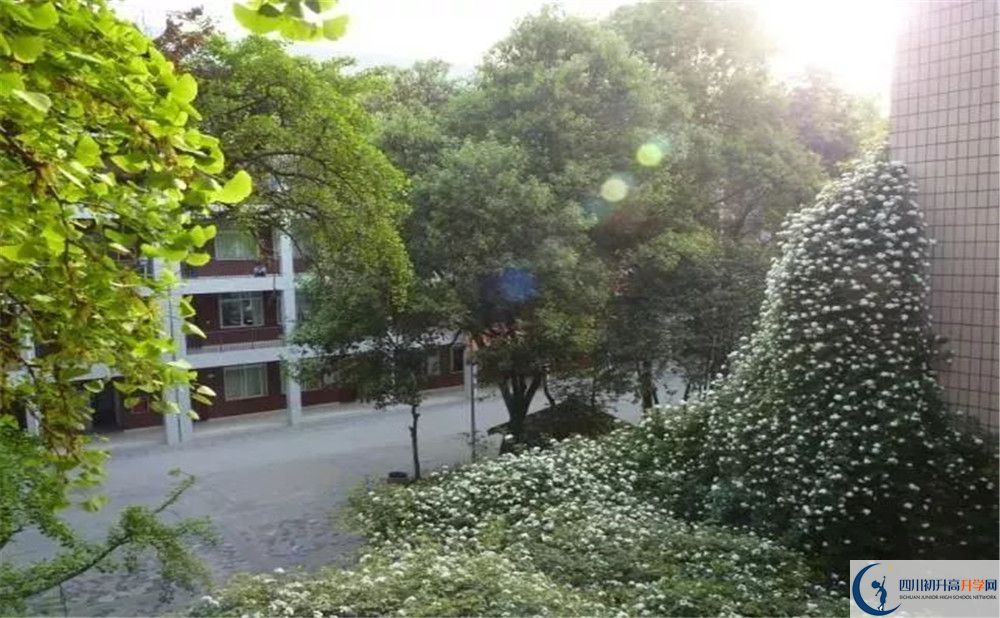 石室聯合中學蜀華分校2020年高一入學考試時間是多久？