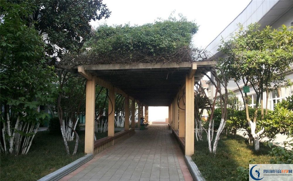 通錦中學(xué)2020年清華北大錄取學(xué)生有多少？
