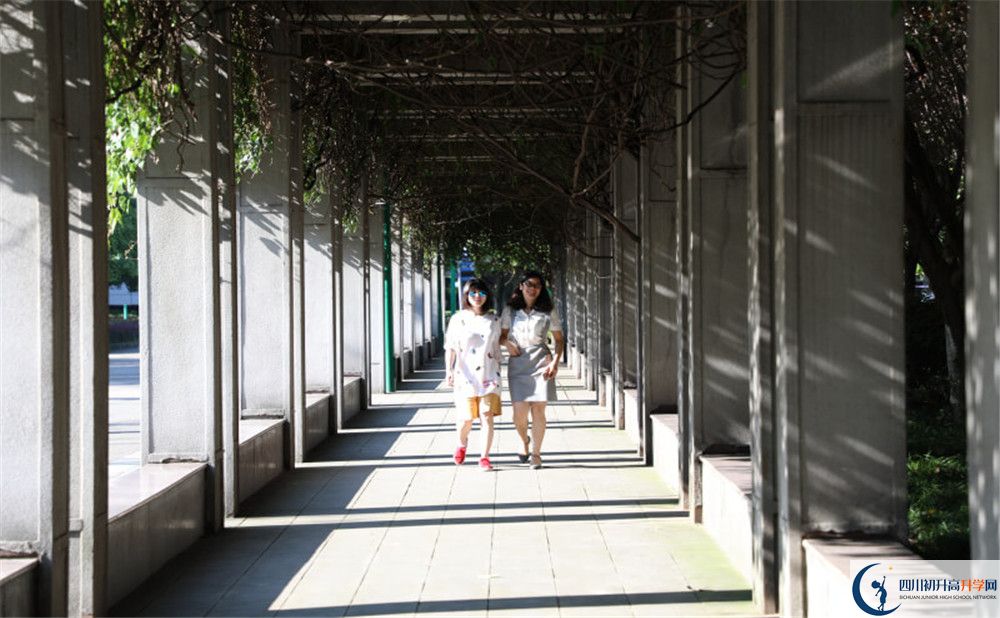成都市龍泉中學(xué)2020年清華北大人數(shù)是多少？