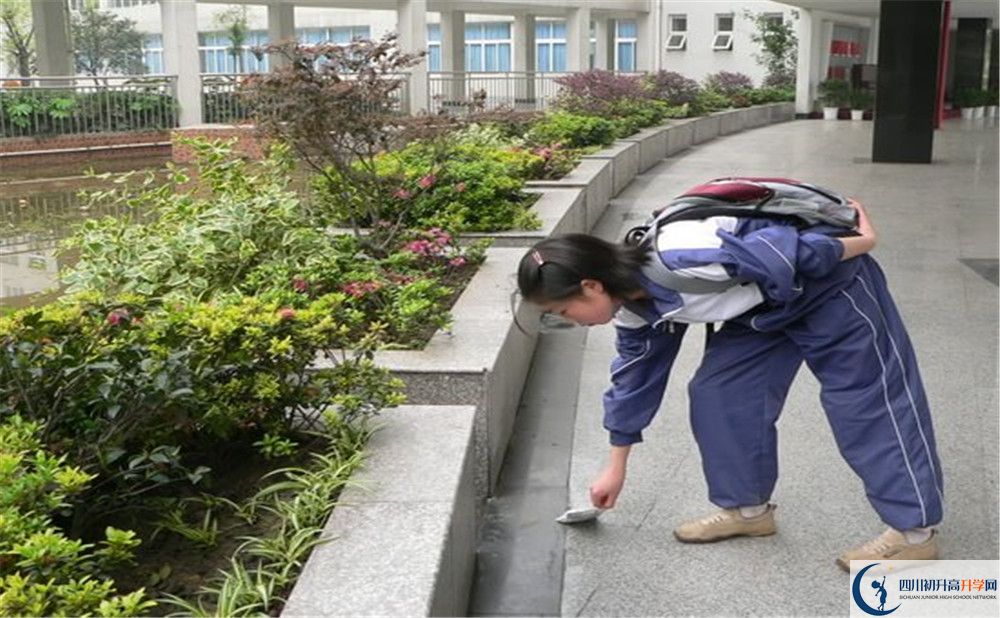 成都市龍泉中學初升高向外地招生嗎？