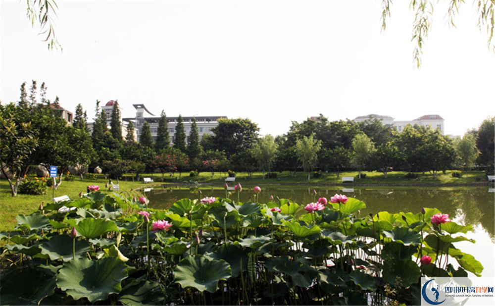 成都教科院附屬學校2020年保送清華北大的人數(shù)是多少？