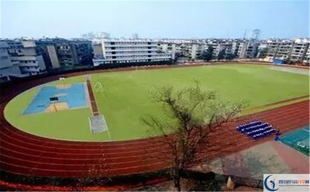 成都實外新都五龍山學(xué)校招生考試科目有哪些？