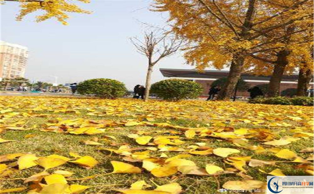 金堂實(shí)驗(yàn)中學(xué)高中住宿怎么樣？