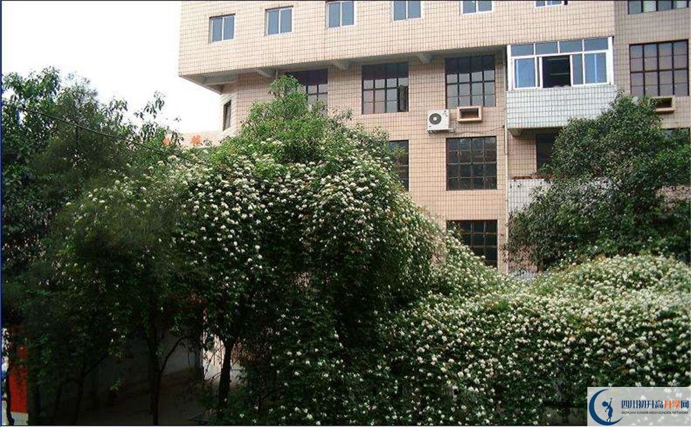 石室聯(lián)合中學(xué)蜀華分校平行班與實驗班差多少？