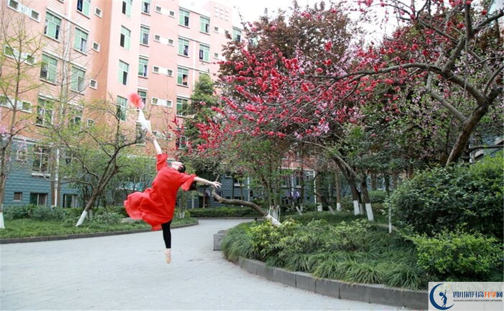 簡陽中學(xué)2020年保送清華北大的人數(shù)是多少？