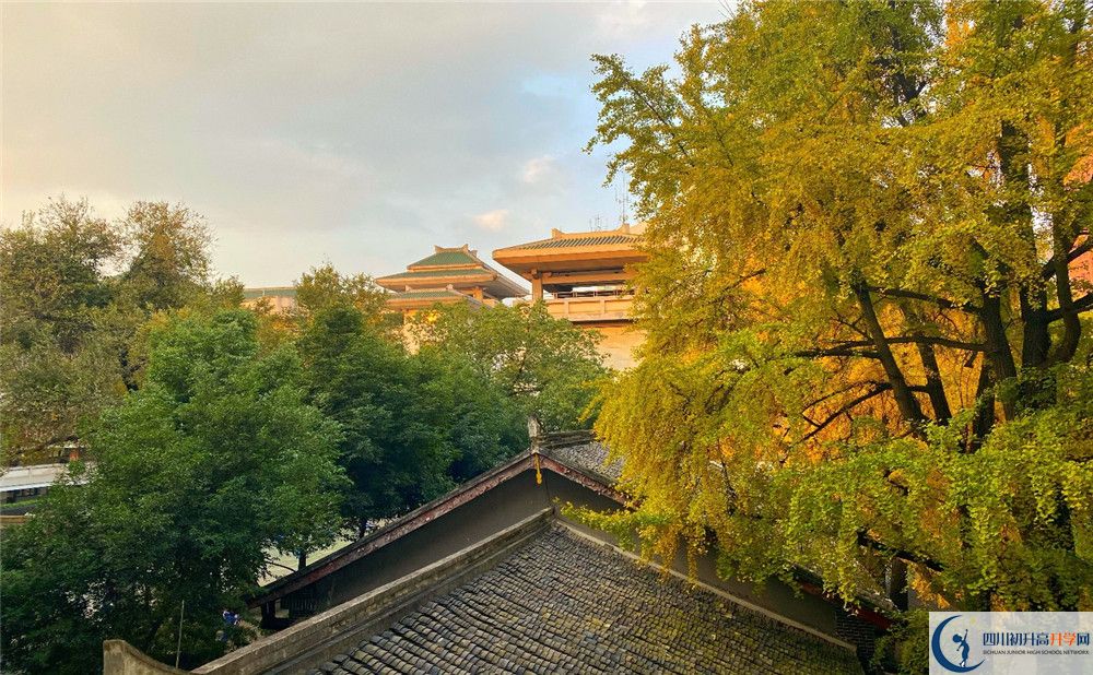 成都石室中學位置在哪里？