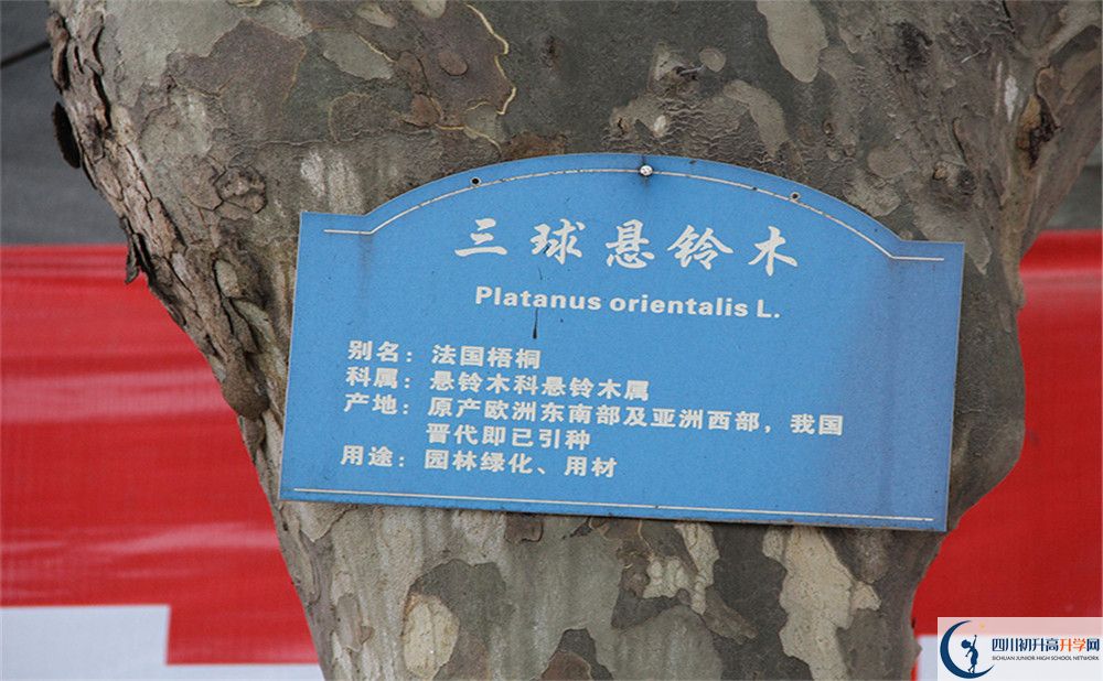 2020成都市第四十九中學(xué)高考重點(diǎn)大學(xué)升學(xué)率高嗎？