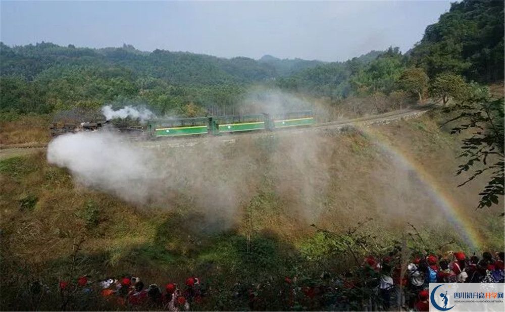 成都市泡桐樹中學(xué)國際班費用是多少？